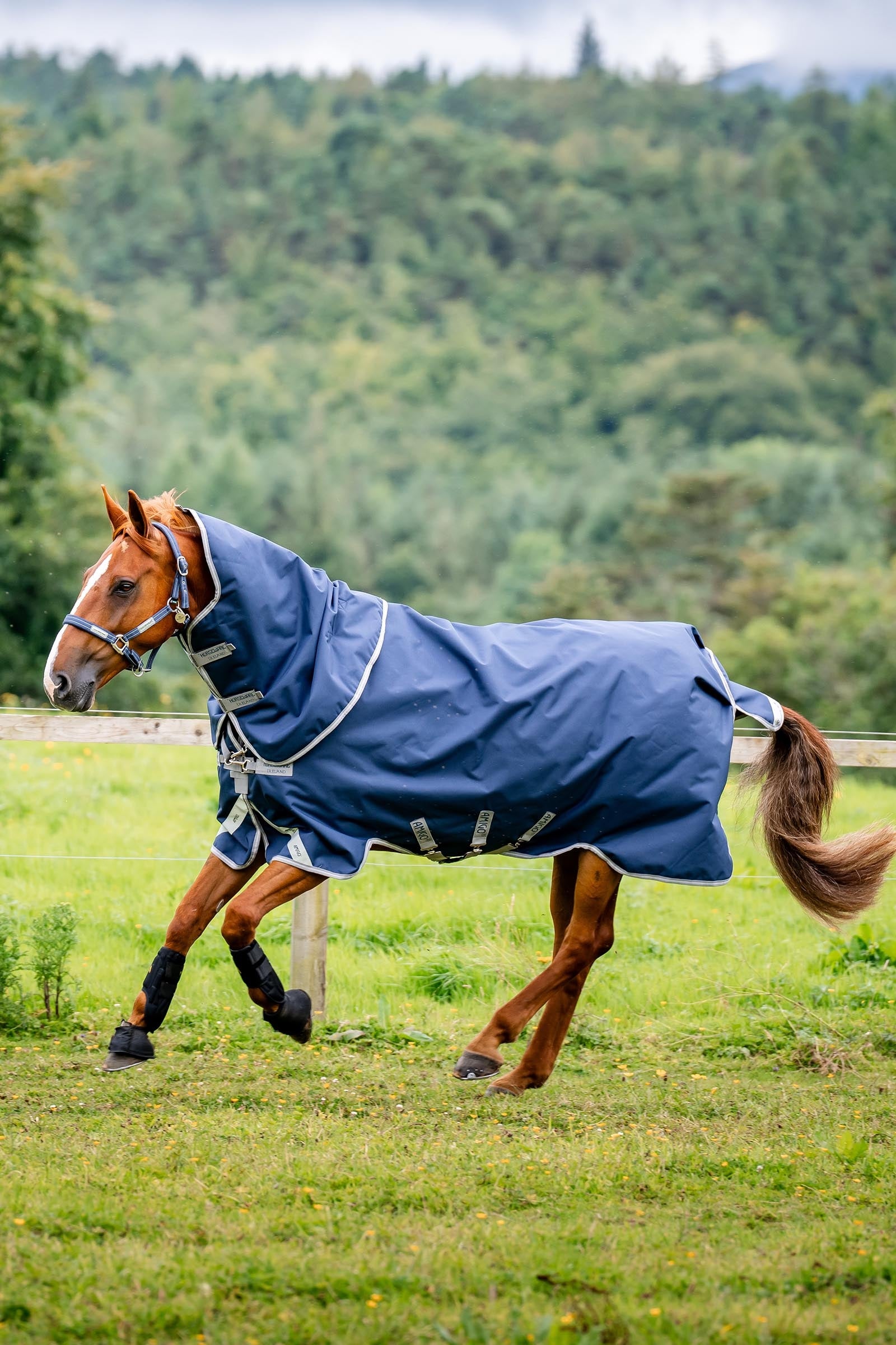 Horseware Amigo Bravo 12 Plus Bundle Turnout Rug 50g, With 2 Liners Horse Rugs
