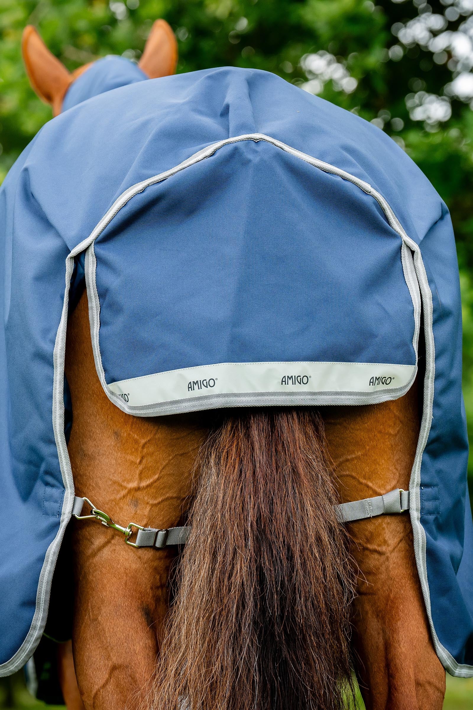 Horseware Amigo Bravo 12 Plus Bundle Turnout Rug 50g, With 2 Liners Horse Rugs
