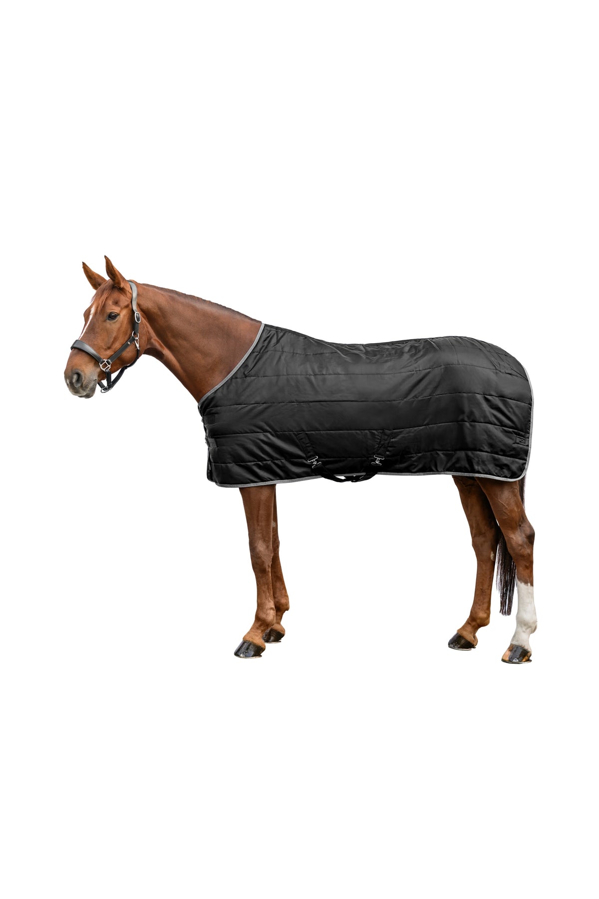 Waldhausen ECONOMIC Stable Rug, 200 g Horse Rugs