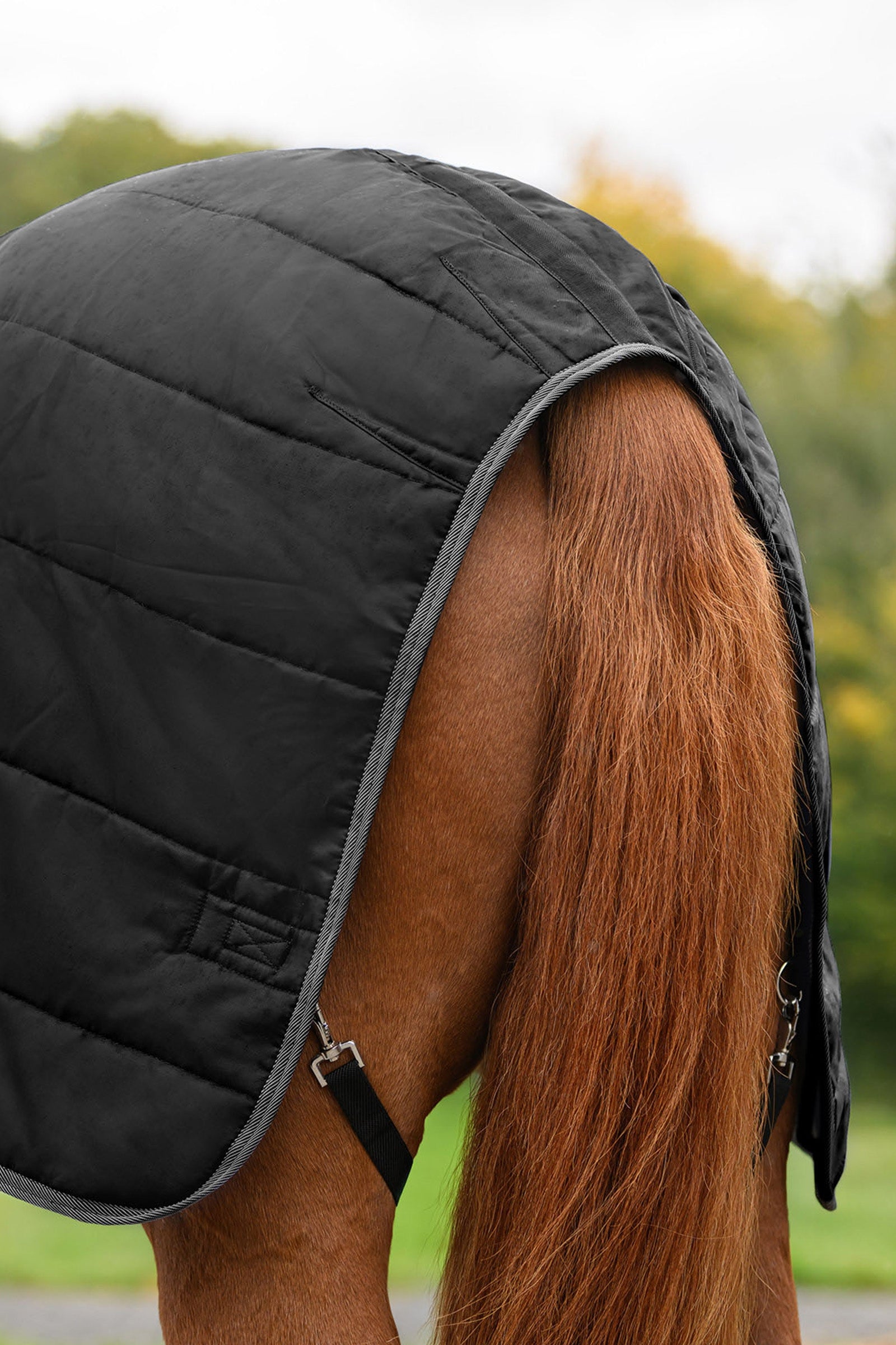 Waldhausen ECONOMIC Stable Rug, 200 g Horse Rugs