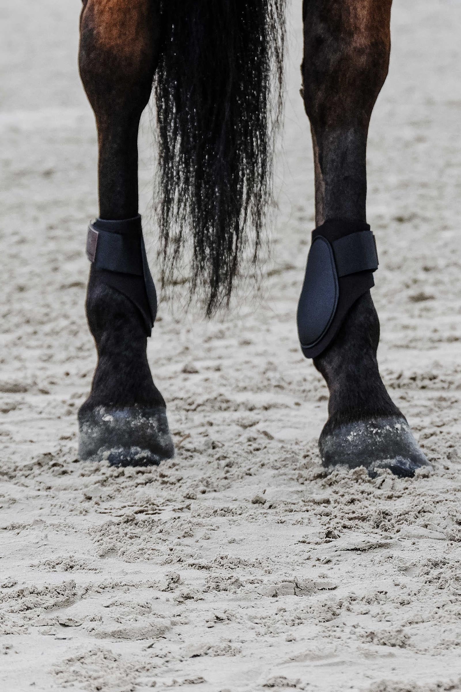 Equi Theme EQUITHÈME Tara Fetlock Boots Leg & Hoof Protection