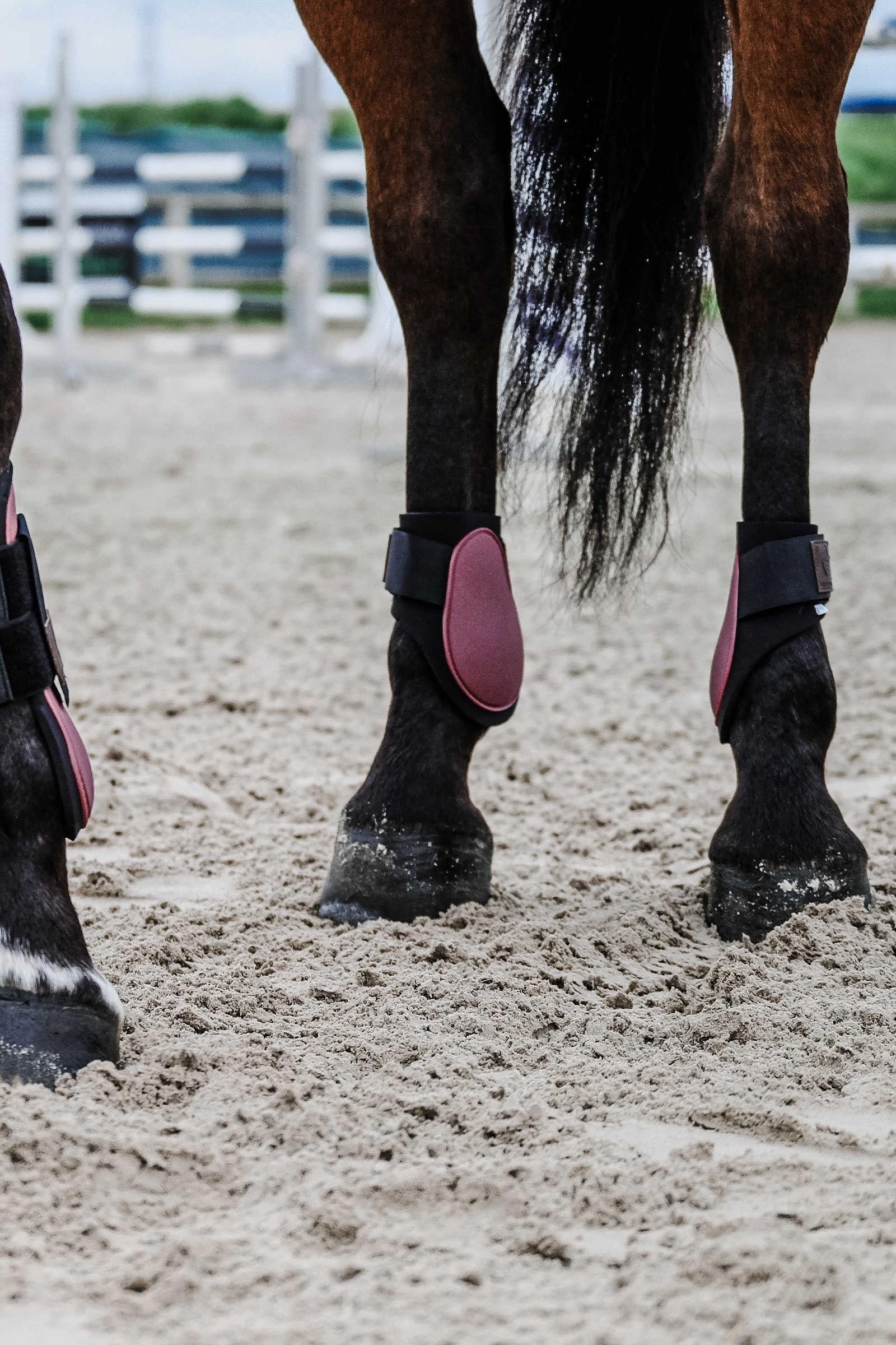 Equi Theme EQUITHÈME Tara Fetlock Boots Leg & Hoof Protection