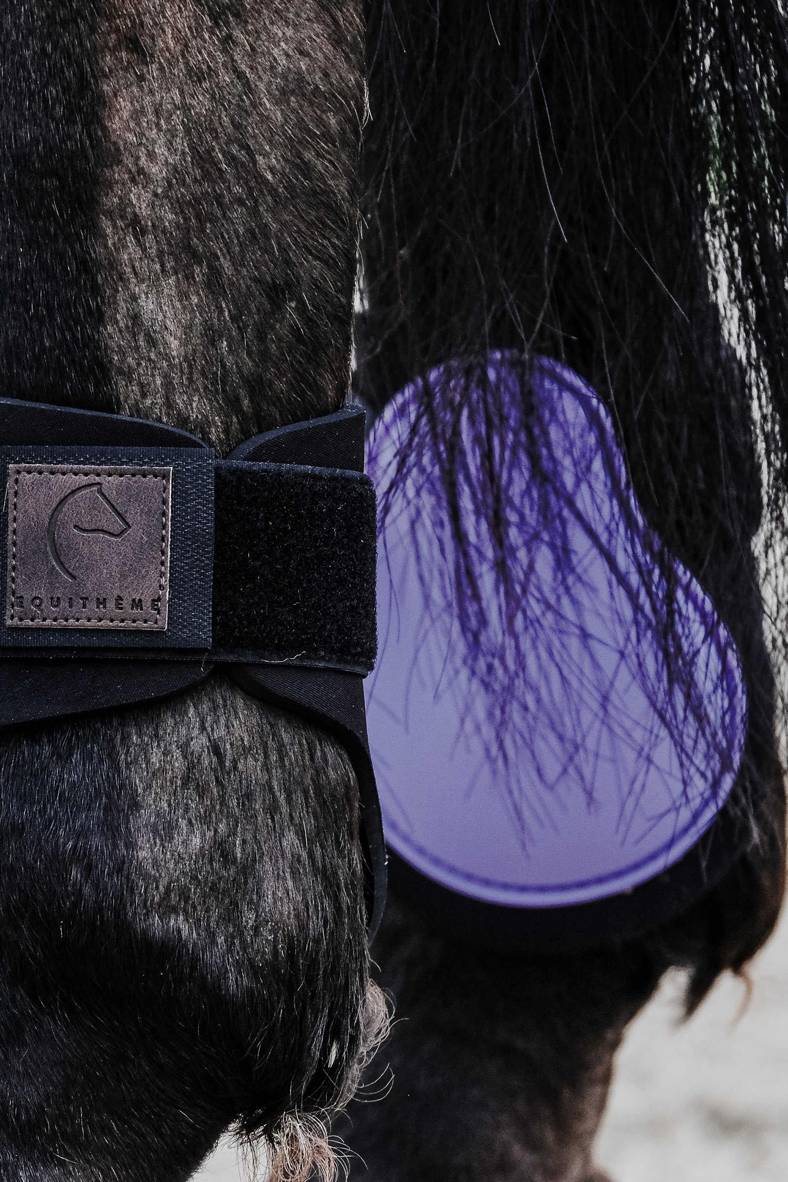 EQUITHÈME Tara Fetlock Boots Leg & Hoof Protection