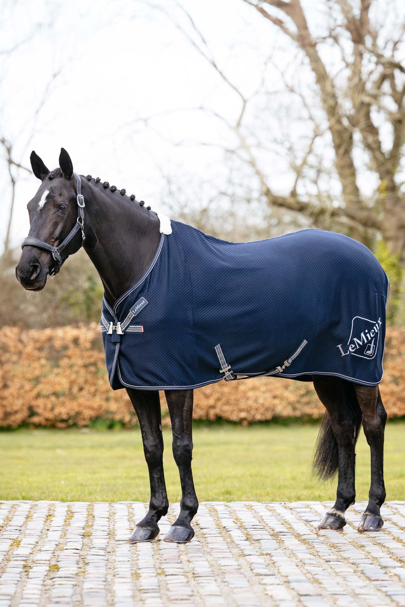 LeMieux Kudos Couverture d'évacuation en bambou Couvertures cheval