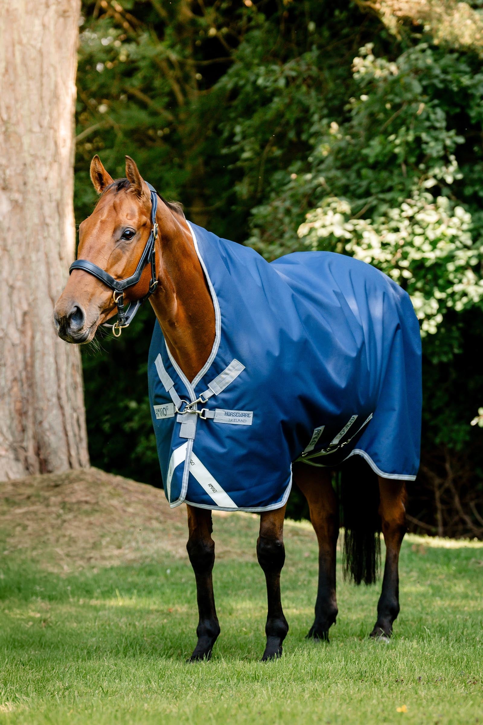 Horseware Amigo 1200D Wug Turnout 150 g Horse Rugs