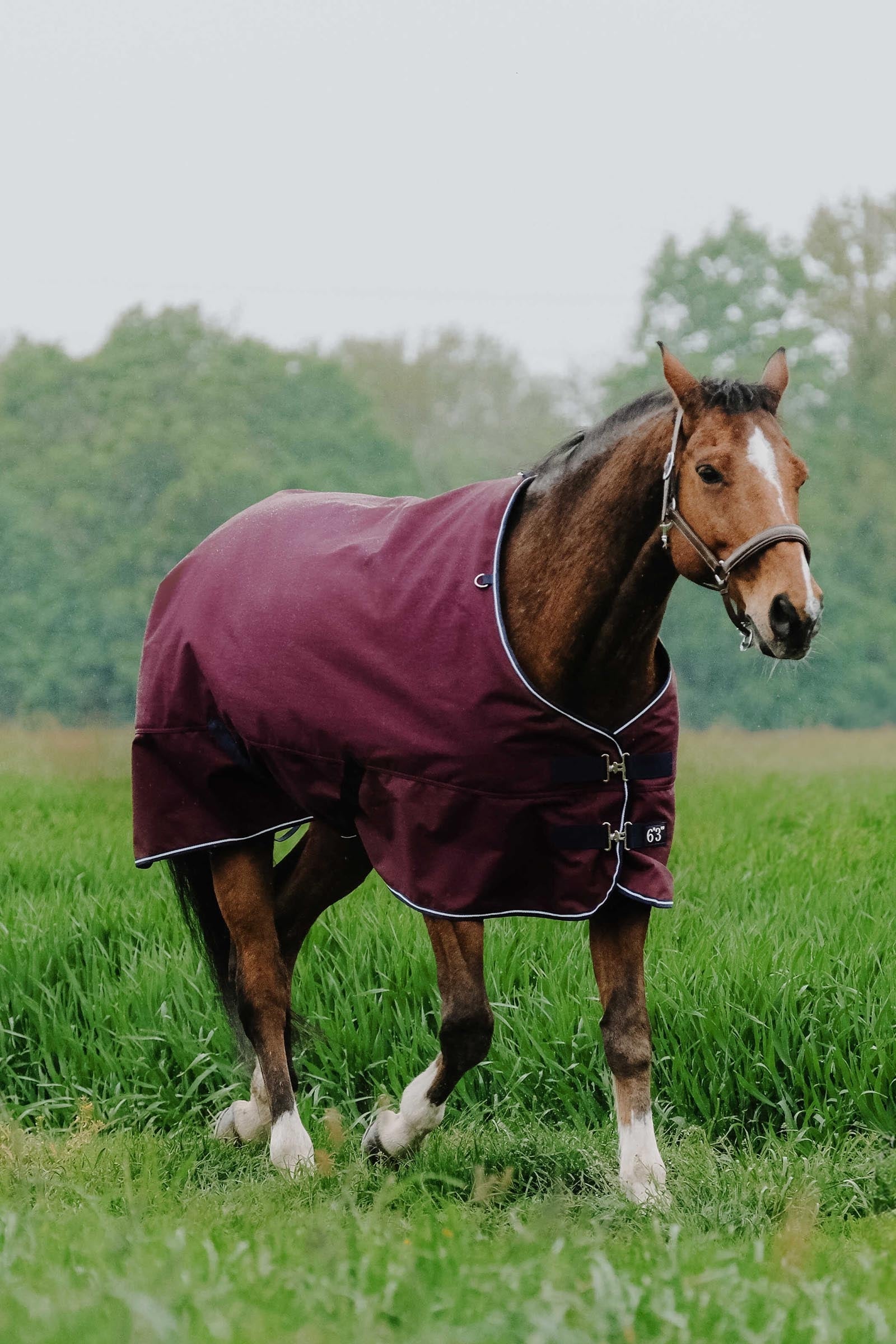 Equi Theme EQUITHÈME TYREX 1200D Turnout Rug, 150 g Horse Rugs