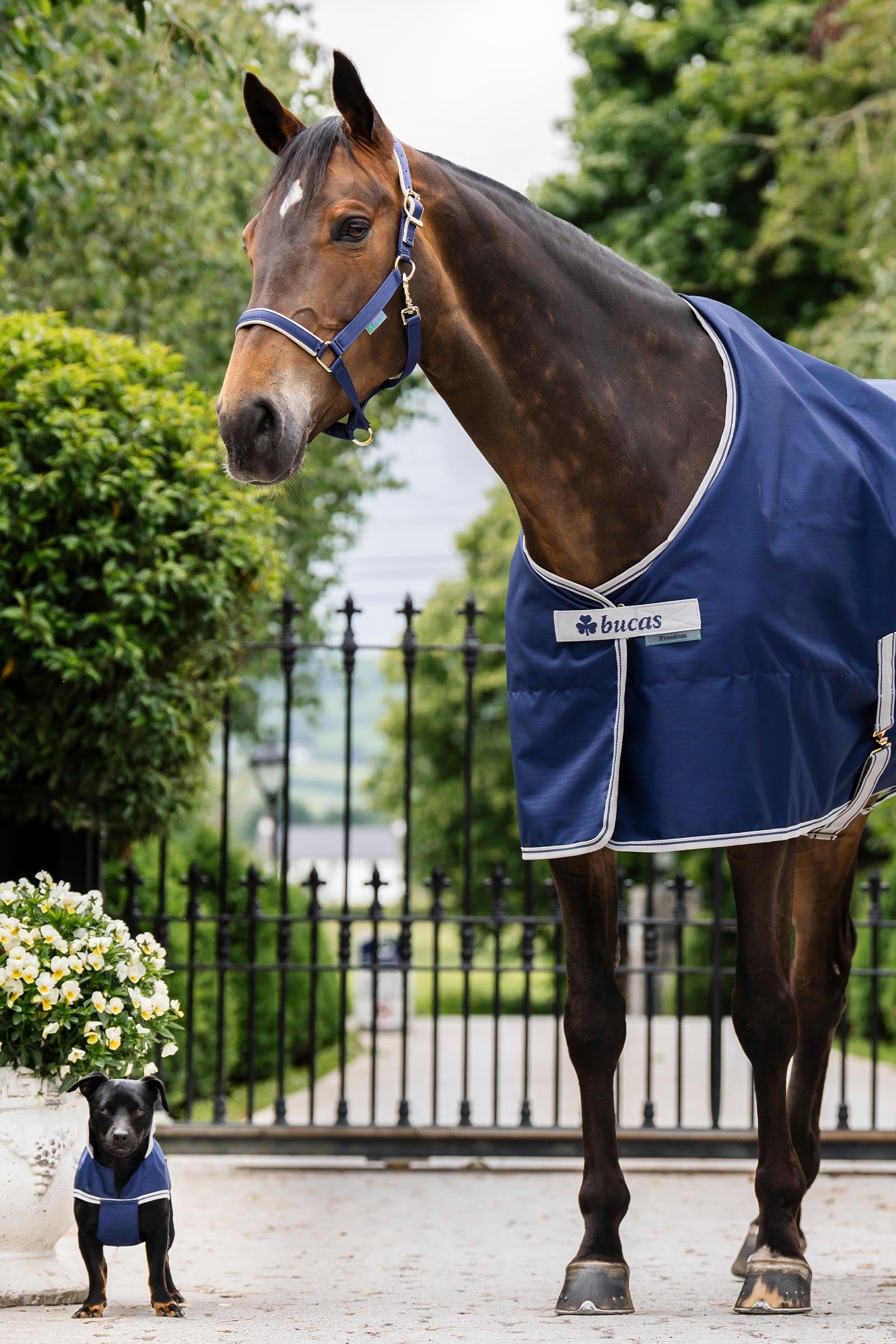 Lifestyle shot 8