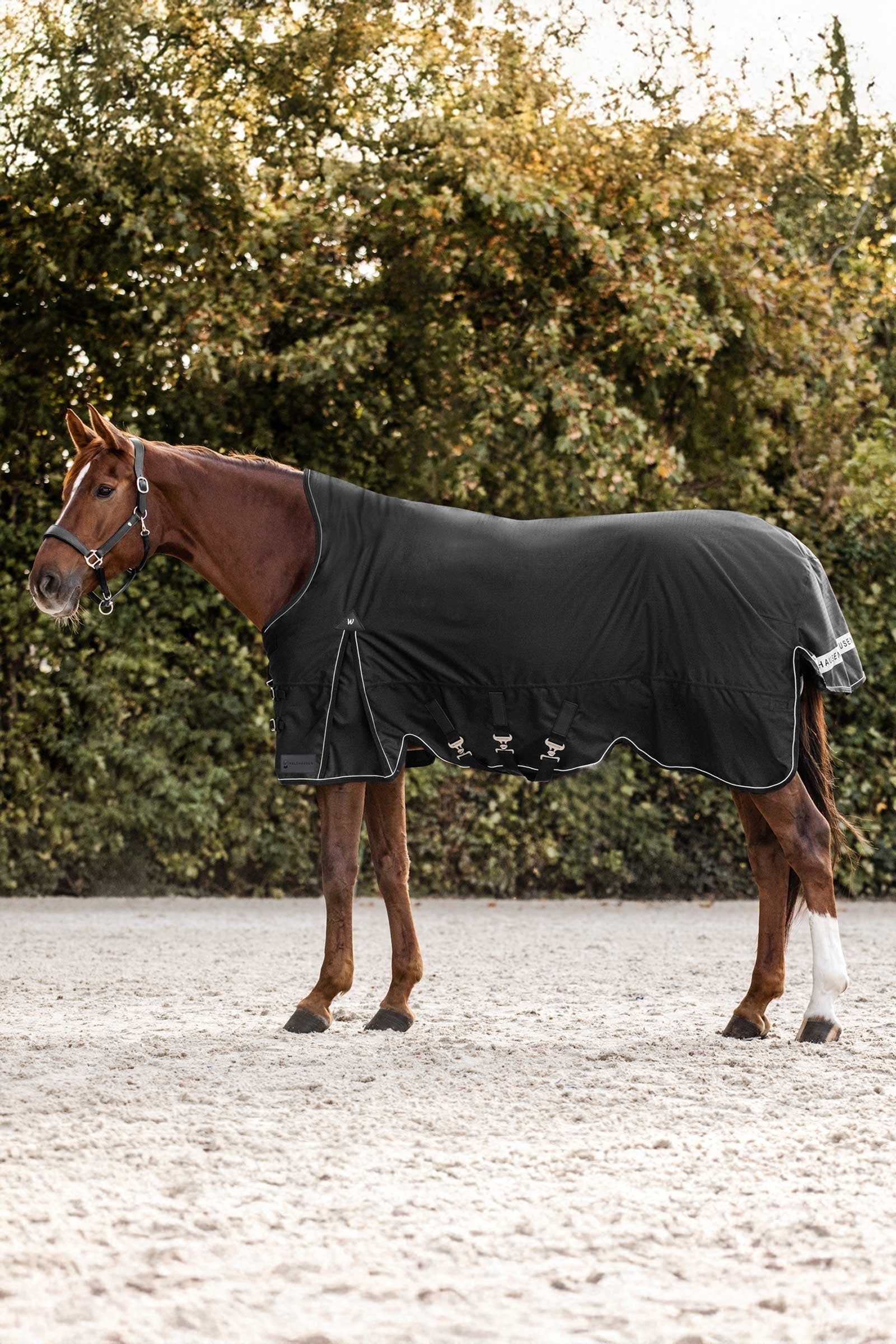 Waldhausen Scandic Couverture d'extérieur avec encolure haute, 200 g Couvertures cheval