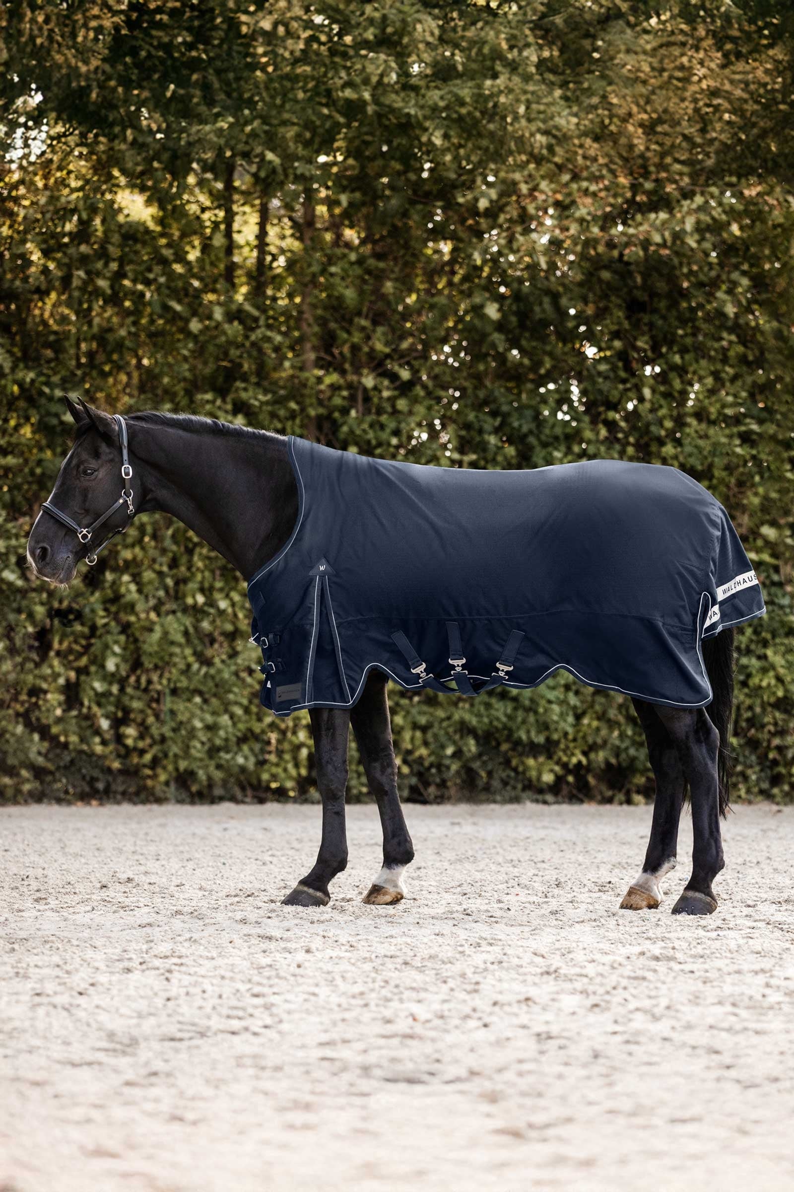 Waldhausen Scandic Couverture d'extérieur avec encolure haute, 200 g Couvertures cheval