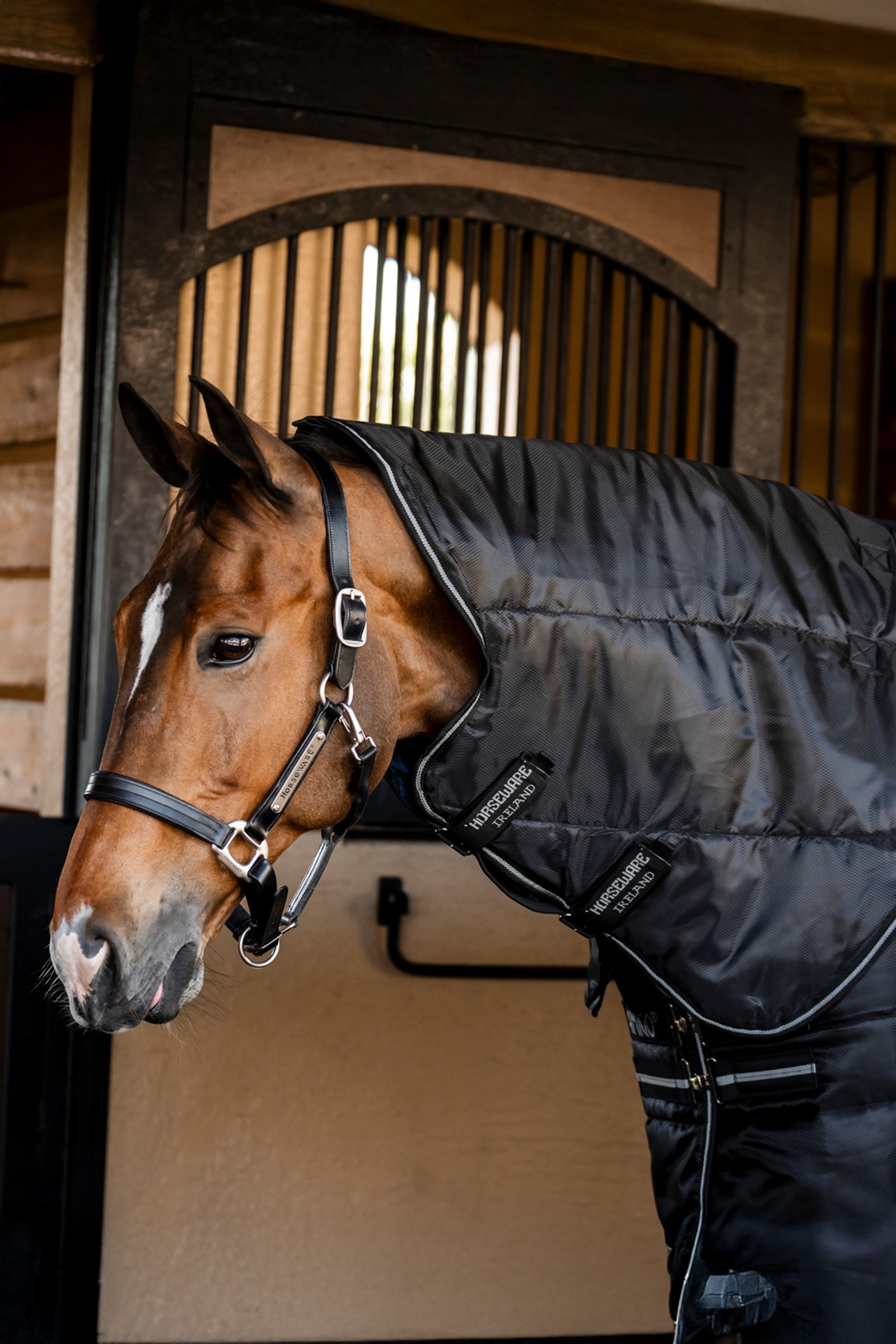 Horseware Amigo Ripstop Insulator Plus couverture d’écurie, 350 g Couvertures cheval