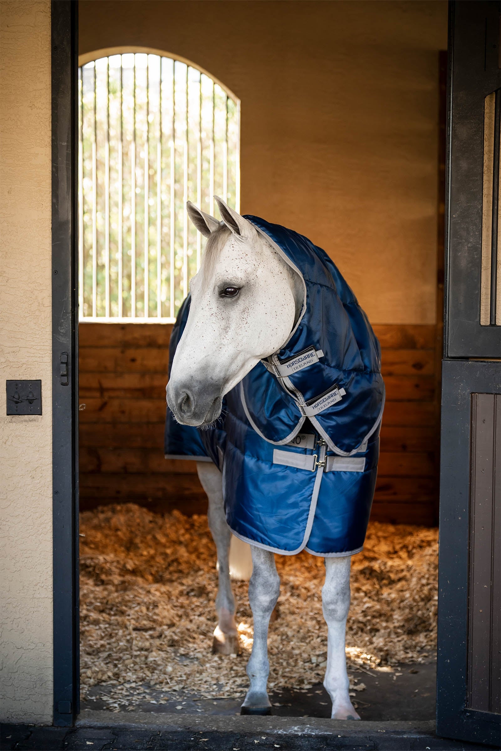 Couverture d'écurie Amigo Stable Sheet - Horseware Couverture d'écurie Amigo Stable Sheet - Horseware