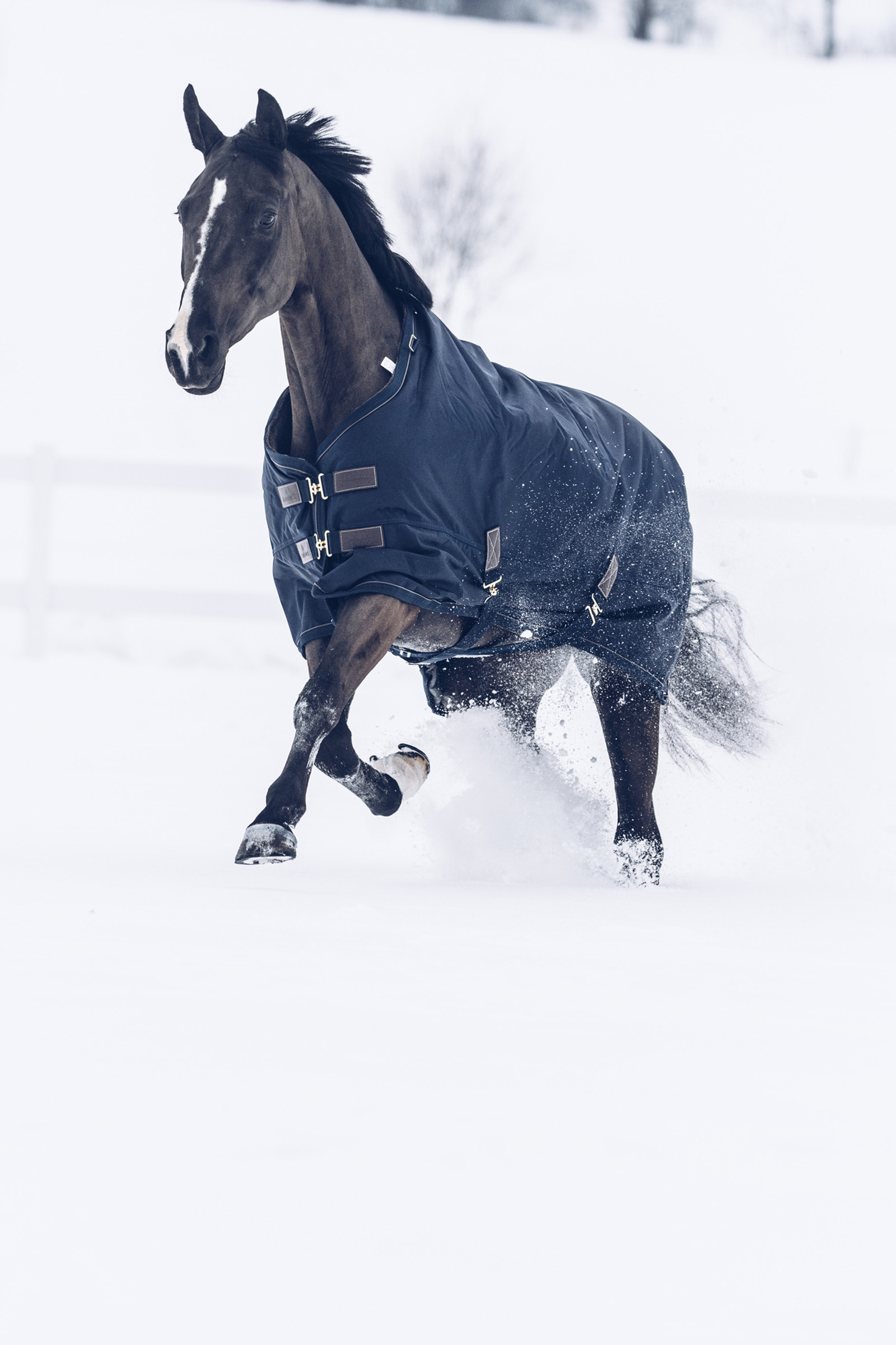 Couverture imperméable cheval All Weather Pro 0g - Kentucky Horsewear -  KENTUCKY HORSEWEAR - Couvertures imperméables cheval - E