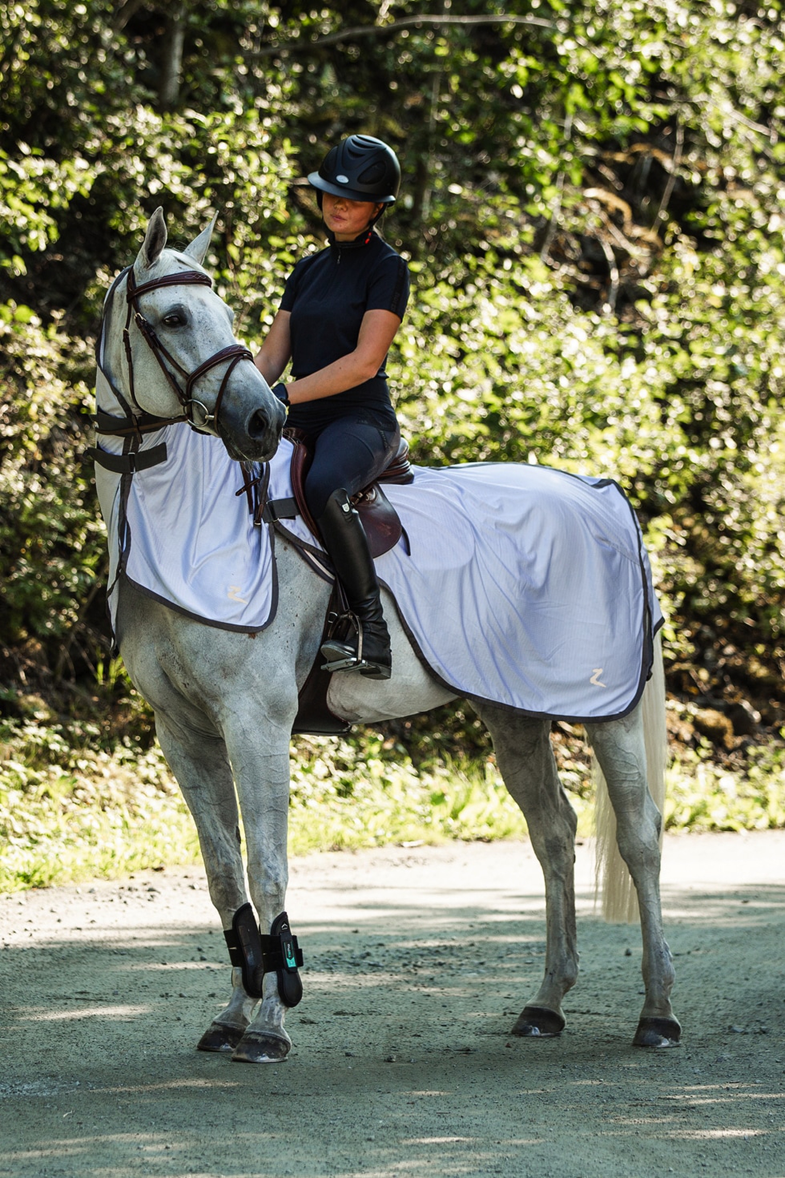 Materiel equitation, equipement cheval et cavalier, sellerie en ligne -  Horze