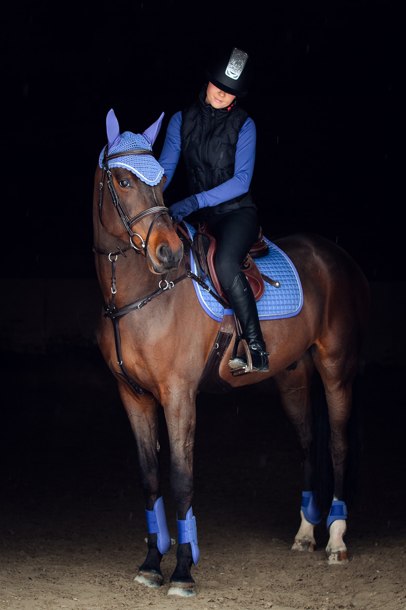 Marques Equipement Equestre & Equitation : Cheval & Cavalier - Le