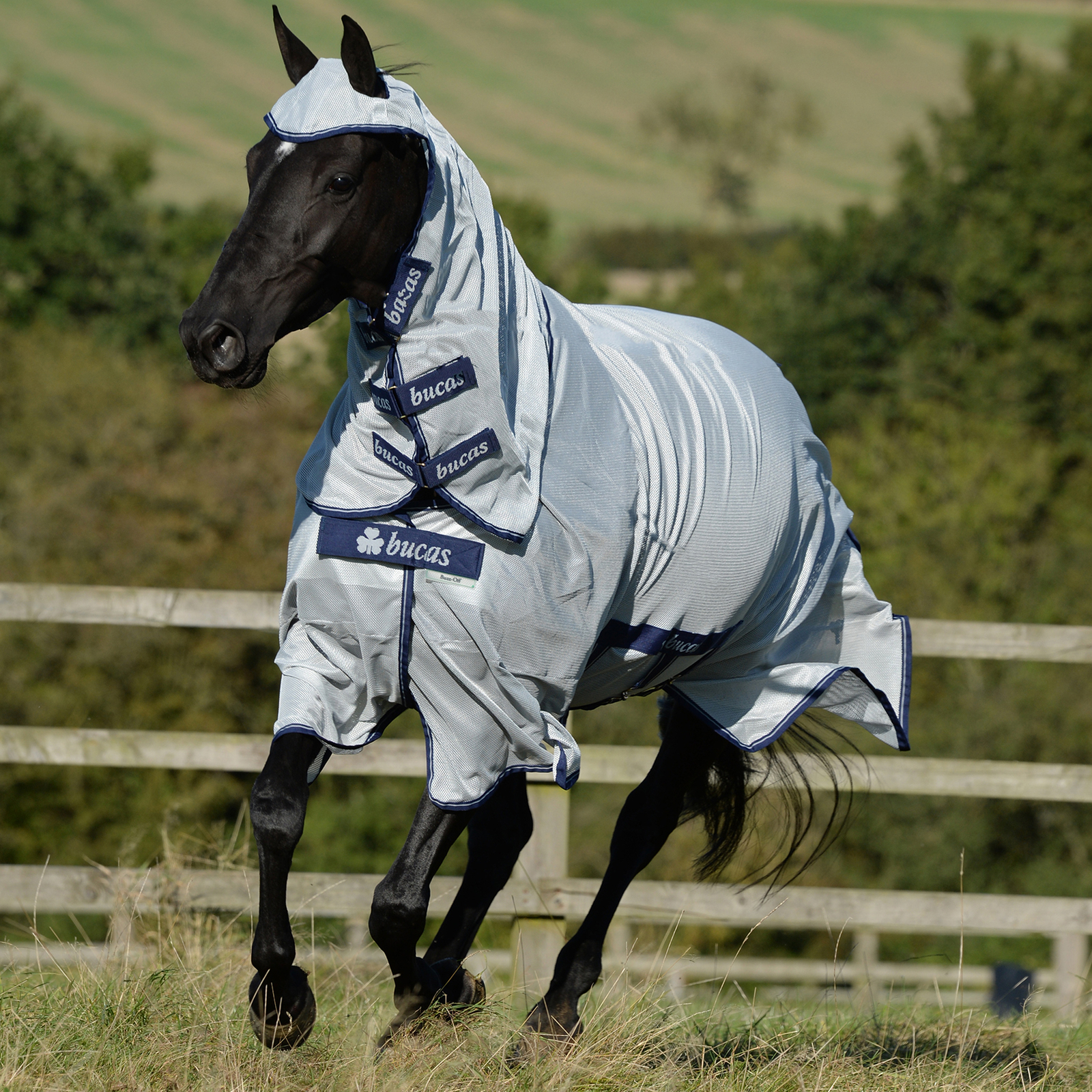 Couverture imperméable cheval X-Range Turnout 200g - Bucas - BUCAS -  Couvertures imperméables cheval - Equestra