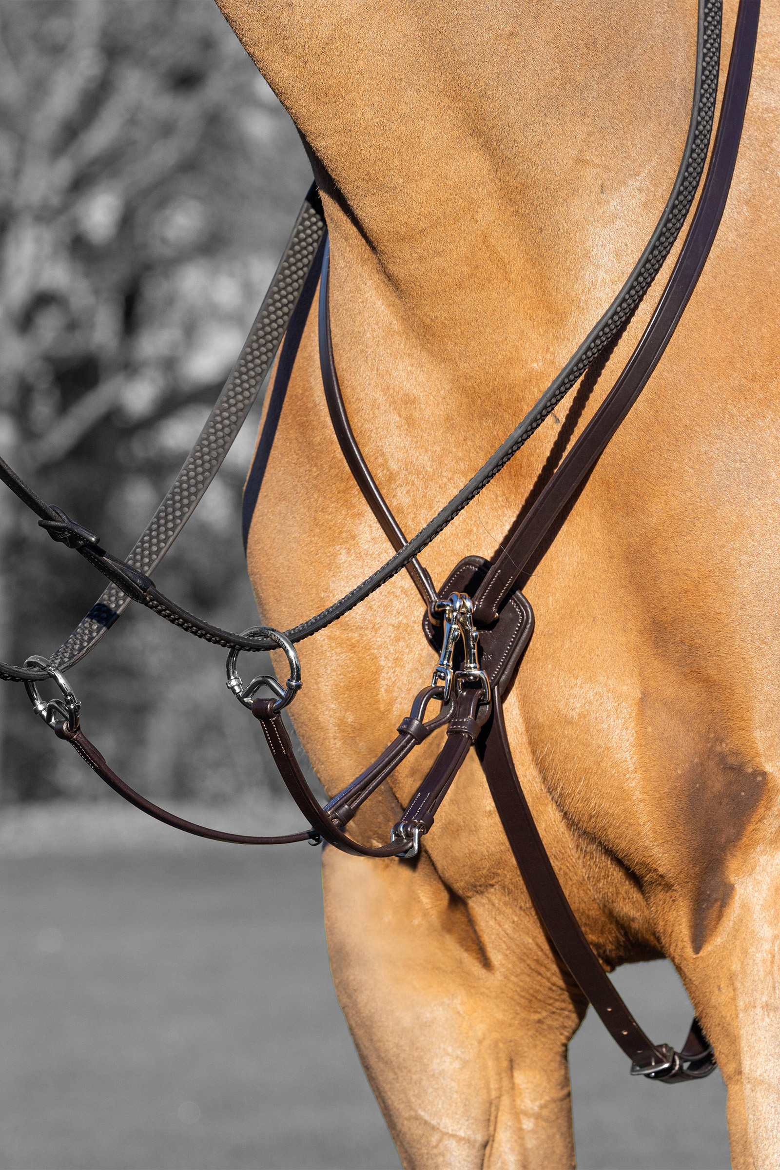 Selle Waldhausen Premium - Selle cuir cheval - Le Paturon